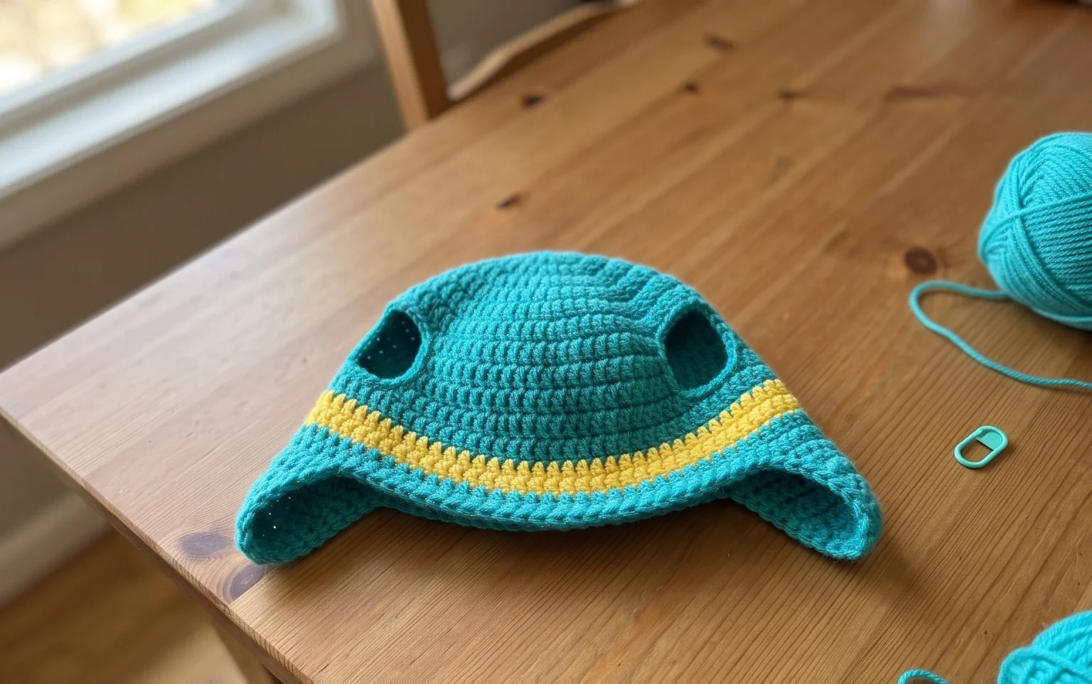 Easy Crochet Dog Hat Free Pattern for Beginners